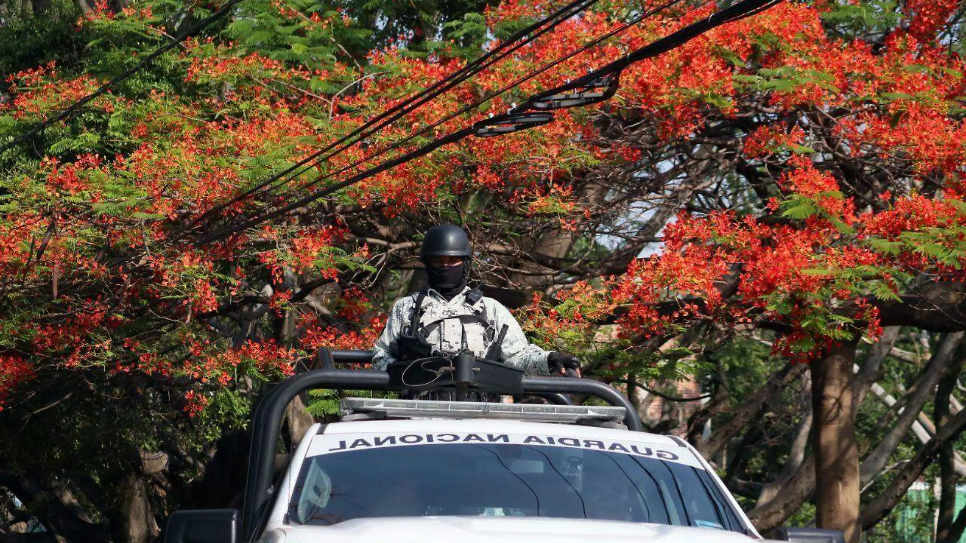 Elementos de la Guardia Nacional en patrullas